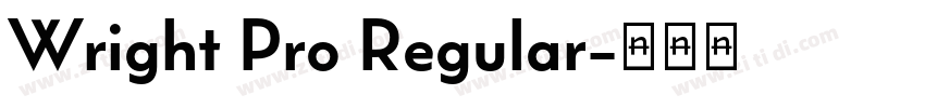 Wright Pro Regular字体转换